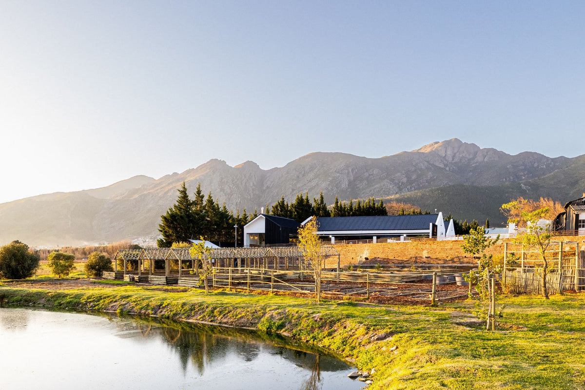 Backsberg