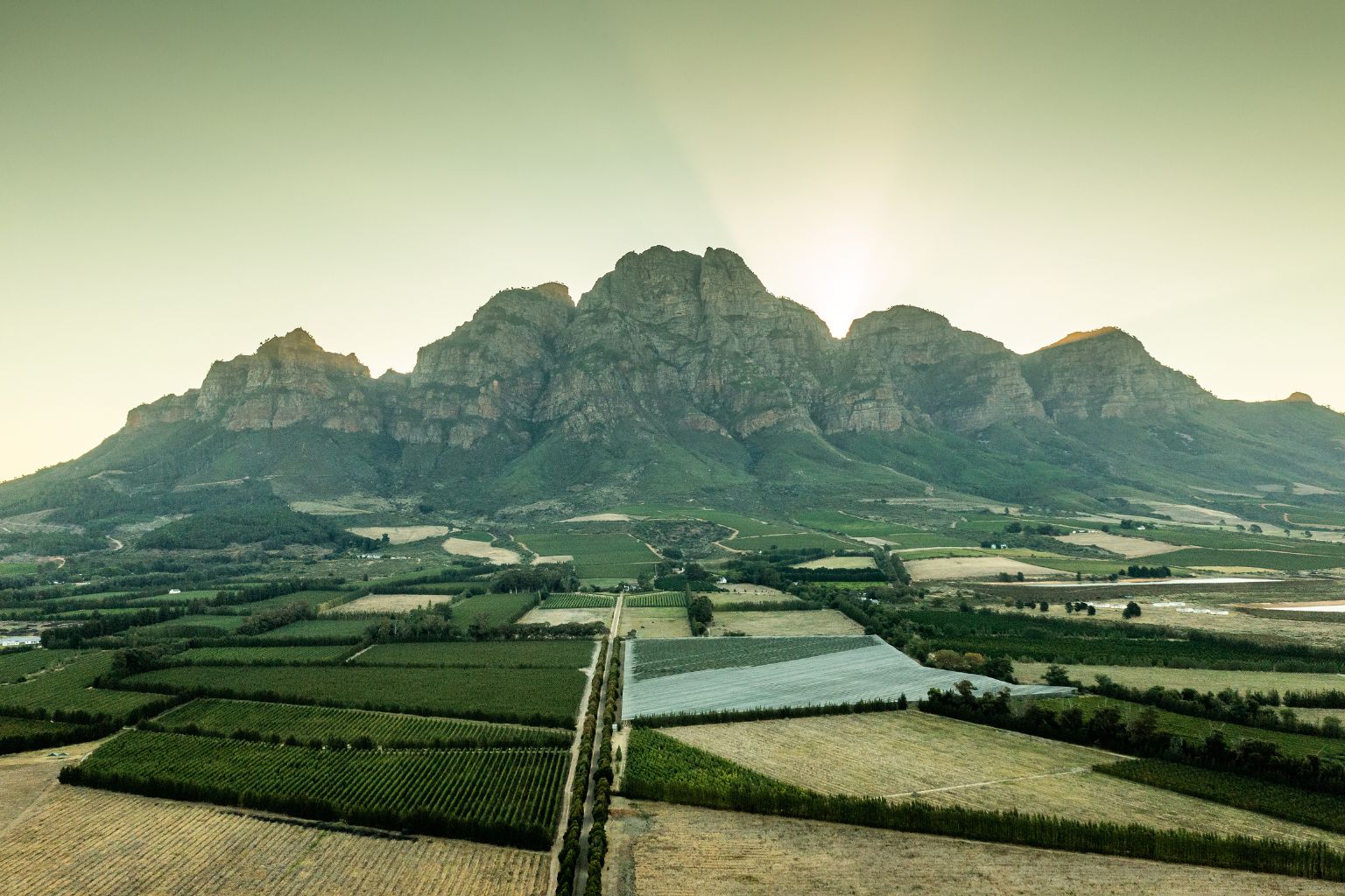 Boschendal