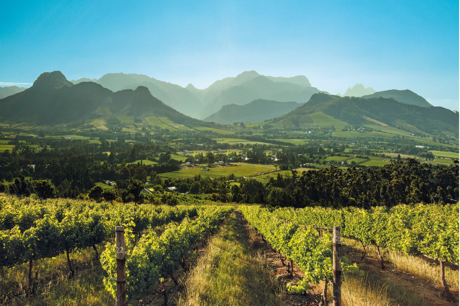 Franschhoek Cellar